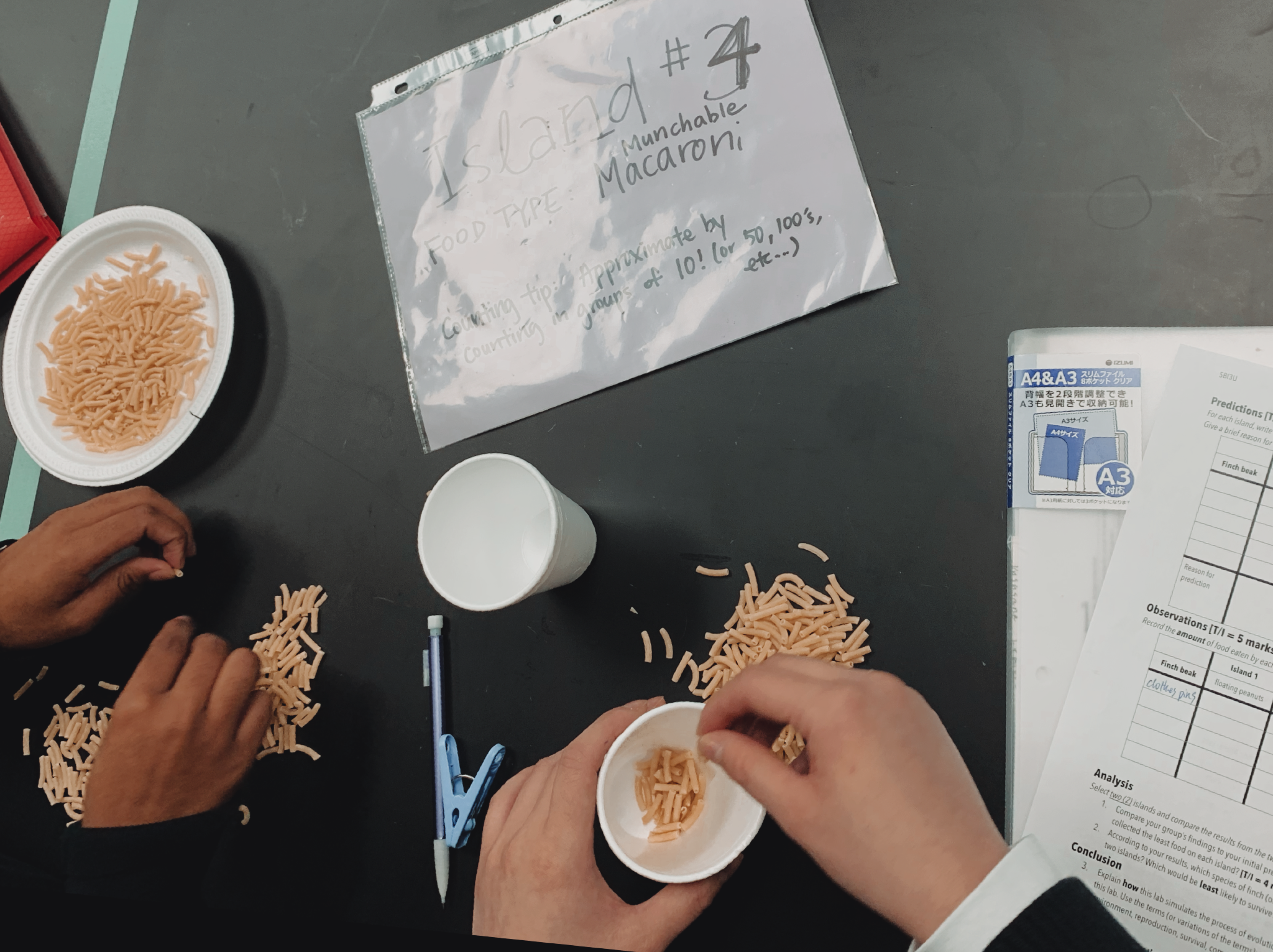 Natural Selection Lab Activity – Teach to Serve