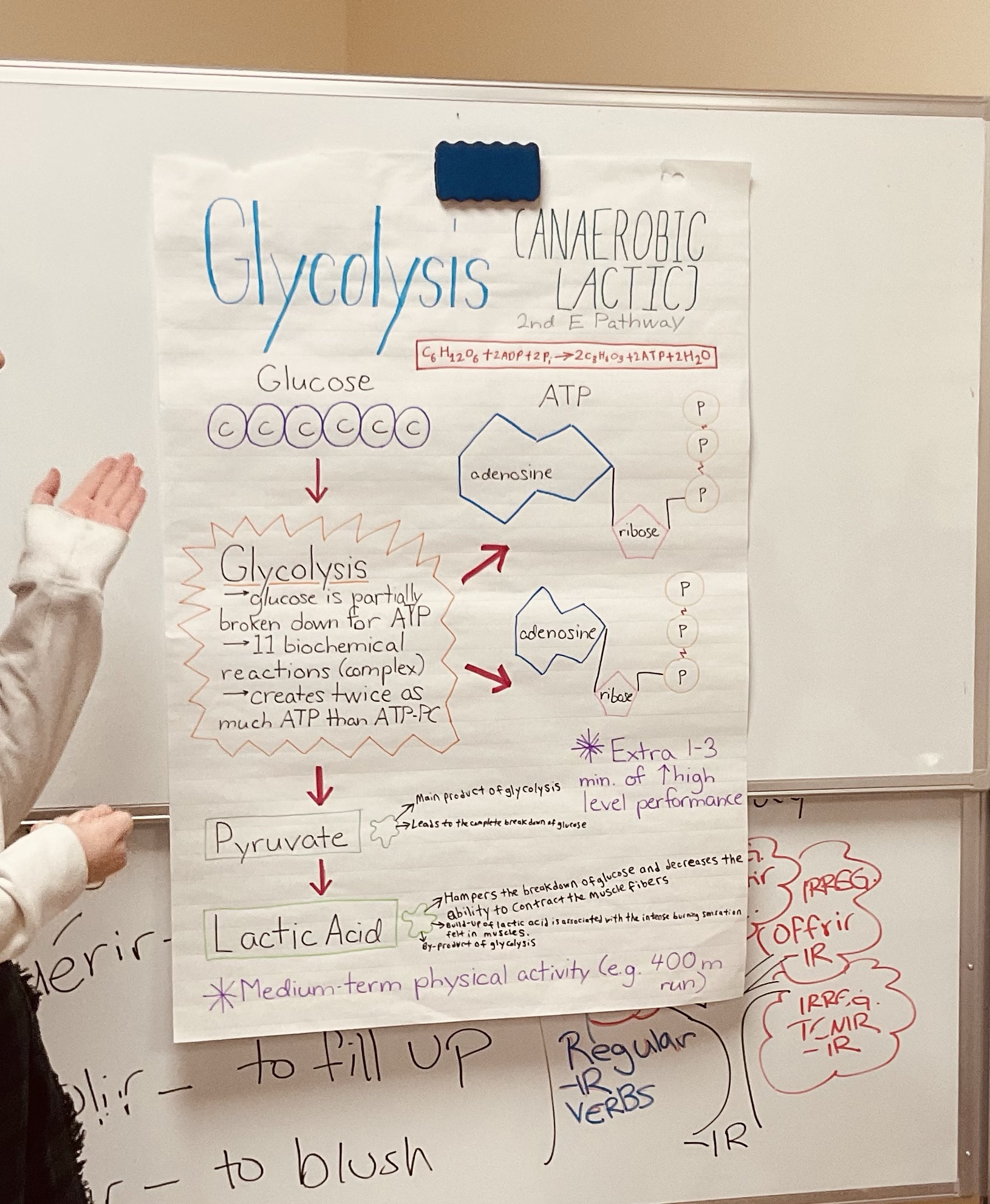 Using Anchor Chart in High School Classroom – Teach to Serve