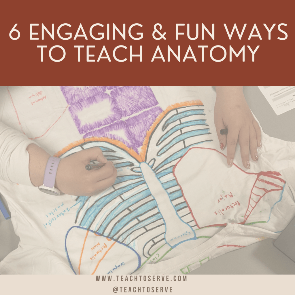 6 engaging activities to teach & Assess anatomy & physiology unit in PSK4U&nbsp;Kinesiology